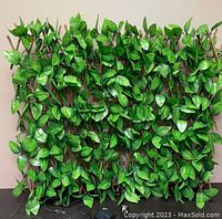 Front view of the artificial ivy expandable fence screen with dense green leaves and natural willow wood lattice framework, with solar LED lights included.