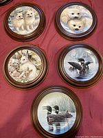 Photo showing 4 Bradford Exchange collector plates featuring wildlife illustrations of wolves, polar bears, hares, and loons in round wooden frames on red cloth background.