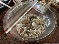 Top view of the coffee table showing the circular ocean treasures display under glass top, including shells, corals, driftwood, and pebbles.