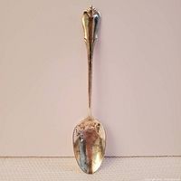 Full length photo of the sterling silver spoon showing the whole piece including ornate handle and tarnished bowl.