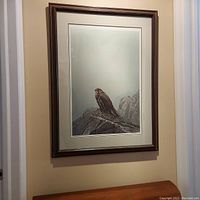 Framed limited edition print titled Dark Gyrfalcon by Robert Bateman hanging on wall above wooden cabinet