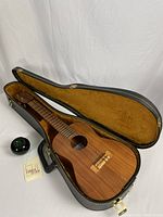 Ukulele in open black hardshell case with plush yellow interior, green apple size reference, and manufacturer’s tag.