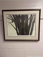Full view of framed print showing the Rough-Legged Hawk perched on an elm tree against a light background.