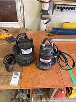 Two submersible utility sump pumps on a wooden table, one MasterCraft and one Red Lion, showing overall condition and cords.