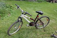 Full view of the Raleigh Portage women's bike showing frame, seat, wheels, and handlebars in outdoor grassy setting