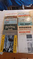 Photo showing 14 Ukrainian LP records arranged side by side with visible titles and cover designs.