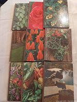 Top view of 9 hardcover gardening books with illustrated nature themed covers showing plants, flowers, garden scenes.