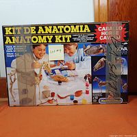 Box of the vintage horse anatomy kit showing title, images of children assembling, and mention of Mediterraneo brand. Outer box shows noticeable damage.