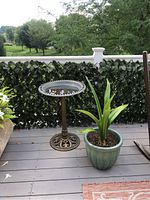 Green-blue ceramic pot containing a plant with long, wide green leaves, placed next to bird bath.