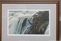 Full view of the framed Robert Bateman print showing a seal near a waterfall with detailed natural background.