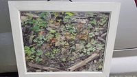 Framed original oil painting showing forest ground with leaves and twigs