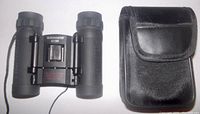 Black Bushmaster 821BR binoculars next to matching carrying case on white background.