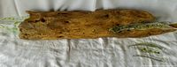 Full view of driftwood piece with fused glass extensions showing texture and colors