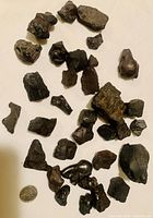 Collection of 23 raw unpolished natural black stones shown on white surface with a quarter for size reference.