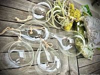 Full set of five glass terrariums in teardrop and round shapes, moss bags, and artificial plant piece on wooden surface.