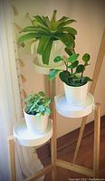 Photo showing the three-tiered plant stand with wooden legs and white round trays, supporting three potted plants (plants not included).