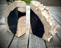 Pair of vintage petrified wood bookends showing natural light beige fossil texture with polished black flat sides, displayed on outdoor wooden table.