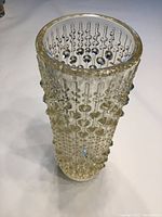 Full view of the tall champagne-colored textured glass vase with raised bubbles and vertical lines visible inside and out.