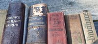 Six hardcover books on wood surface. Titles visible: Shepp's Literary World, Bunyan's Complete Works, Pecks Bad Boy and Compendium of Fun, Der Sprach-Bode, and two other older books with worn covers.