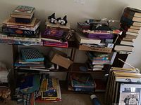 Wide shot of shelves and stacks showing multiple puzzles, books, toys including Ravens plush figures, games, and pennants.