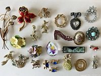 Overview of 25 vintage costume jewelry pins arranged on white background showing various floral, animal, and rhinestone designs.