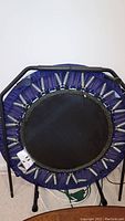 Front-facing view of the trampoline showing its compact circular jumping surface with blue padded edges and springs.