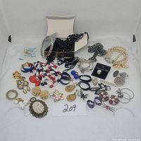 Full view of the costume jewelry lot showing assorted necklaces, bracelets, brooches, earrings, and other pieces arranged on a white background with lot number 209.