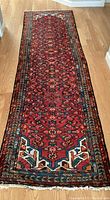 Full view of runner showing red field with geometric all-over design, multi-striped borders and aged fringe