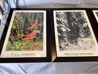 Framed Fall and Winter seasonal photos showing nature scenes in the Olympic Peninsula with black frames and white matting.