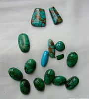 Full view of 14 turquoise stones in various shapes and colors arranged on a white background.