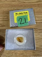 Small polished piece of amber with visible mosquito inclusions inside, placed in a clear round case on white foam inside a small grey box labeled 'The Amber Room Eco Jewellery & Gifts'.