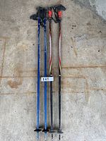 Four ski poles laid on a concrete floor showing a pair of blue Vector poles and a pair of red Salamon poles.