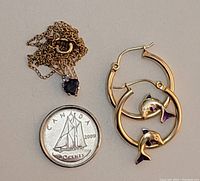 Photo showing earrings with dolphin design next to a Canadian dime for size reference and the necklace with heart pendant chain coiled