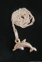 Photo of the coiled 18-inch white gold chain with attached dolphin pendant on black background.