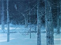 Close view of the snow-covered forest composition