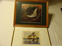 Photo showing both framed prints laid flat, one above the other on a surface.