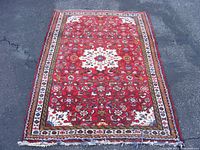 Full view of rug showing overall pattern and condition