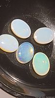 Top-down view of five oval-shaped natural crystal opal cabochons showing their iridescent play of color.