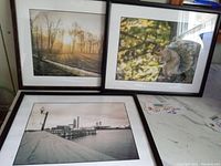 Four black framed art prints arranged showing three prints in one image: forest scene, squirrel on tree, and pier scene