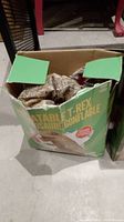 Box of inflatable T-Rex dinosaur showing partial toy inside and printed image.