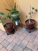 Three planters with plants shown in a corner outside on tile floor, each on a rolling or metal stand.