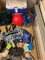 Full view of the Coleman cooler, red sports ball, umbrellas in a clear ice bucket, assorted bags and various small accessories including the leopard print wallet, green tissue pack, and hand sanitizer.