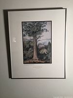 Photo showing silver aluminum framed print with white matting and artwork titled "Rata Tree Wellington 1849"