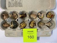 12 Wade ceramic figurines displayed neatly in an egg carton style holder with MaxSold lot tag 160