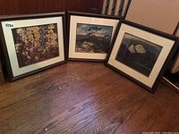 Three framed prints arranged on floor with visible matting and frames.