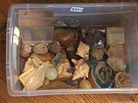 Overall view of assorted mineral specimens in a clear plastic bin
