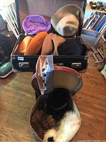 Wide view of two vintage suitcases filled with an assortment of felt and fur hats including a purple velvet hat.
