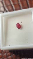 Oval Burma ruby gemstone in white plastic display case, showing deep red color and transparent clarity.