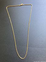 Full length view showing 20-inch chain laid out flat