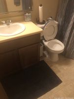 Photo showing bathroom sink, dark floor rug, and part of the toilet with open lid and paper towel holder on tank